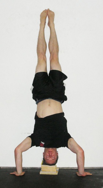 9 Reasons Why You Should Start Doing Handstand Push-Up - Bodyweight  Training Arena
