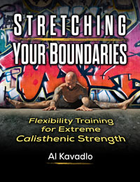Pic5StretchingYourBoundariesBookCover